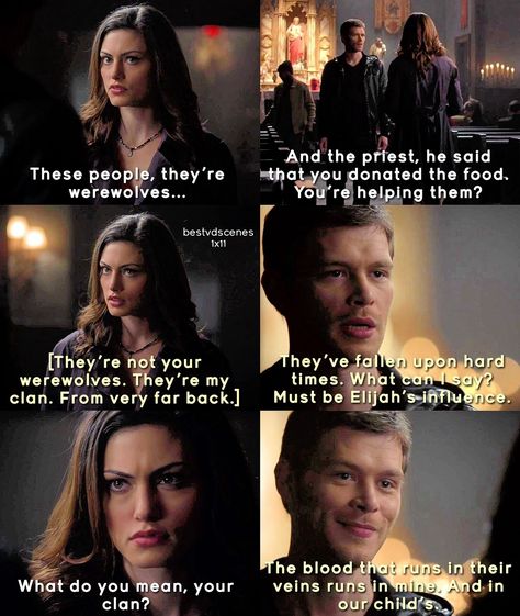 The Vampire Diaries Fan Page (@bestvdscenes) on Instagram The Originals Tv Show, Legacy Quotes, Hayley And Klaus, Hayley Marshall, The Originals Tv, Original Memes, Dogs Trust, Original Vampire, Katherine Pierce