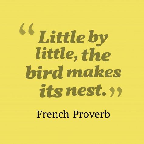 Little by little, the bird makes its nest. - French Proverbs French Proverbs, Bird Quotes, Success Life, Proverbs Quotes, Quotes Words, Motivation Success, Nature Quotes, Happy Thoughts, Sign Quotes