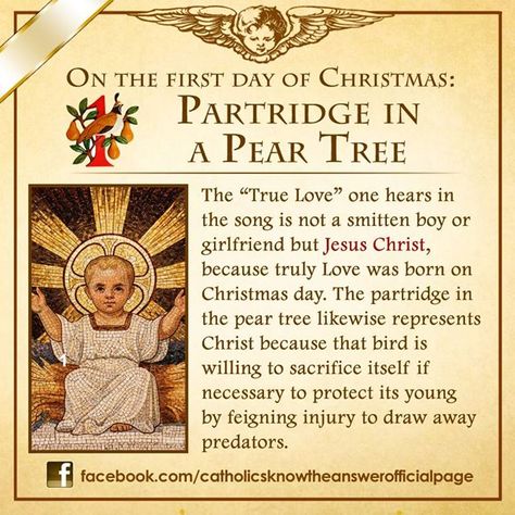 The first day of Christmas Christmas Meaning, Christmas Legends, Catholic Theology, Catholic Answers, Catholic Christmas, Christmas Lyrics, Catholic Beliefs, Partridge In A Pear Tree, Christmas Poems