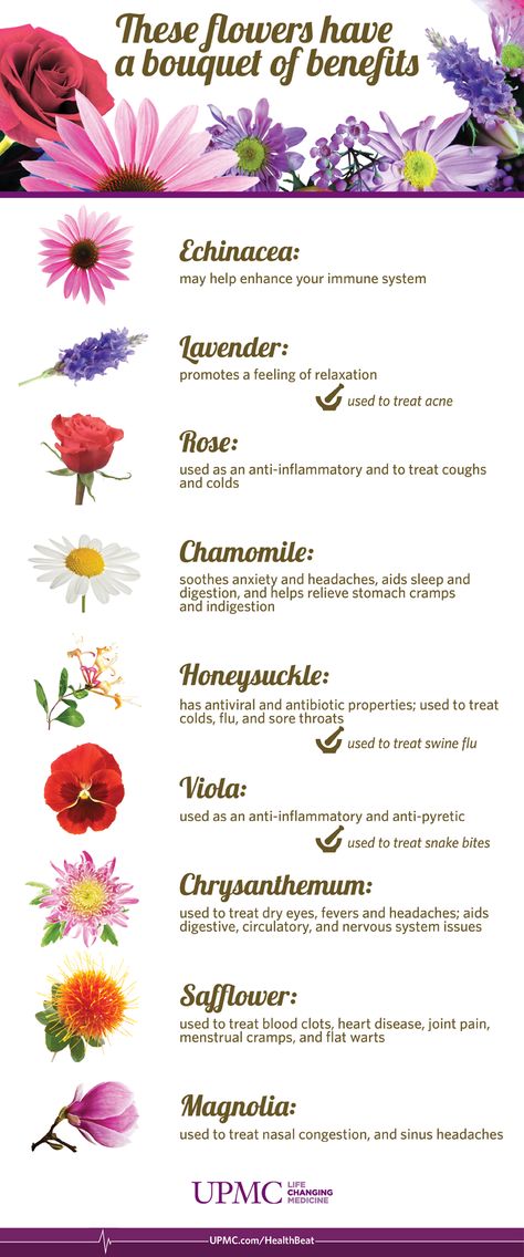 Infographic: Health Benefits of Flowers Healing Flowers, Dianthus Barbatus, Health Images, Chrysanthemum Flower, Home Vegetable Garden, Flower Names, Flower Tea, Natural Herbs, Edible Flowers