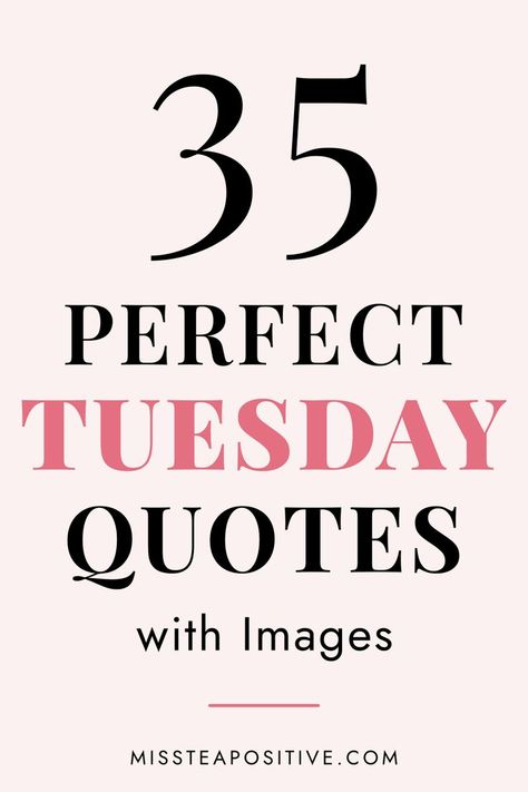 Need some encouragement? Here are 35 Tuesday motivation quotes for some positive vibes. These inspirational quotes include terrific Tuesday quotes for work, good morning happy Tuesday quotes for women and men, positive quotes for your mornings and some funny Tuesday quotes for a friend. Good Morning Happy Tuesday Quotes, Terrific Tuesday Quotes, Tuesday Inspirational Quotes, Funny Tuesday Quotes, Motivation Quotes For Work, Quotes For A Friend, Funny Tuesday, Tuesday Motivation Quotes, Restaurant Quotes