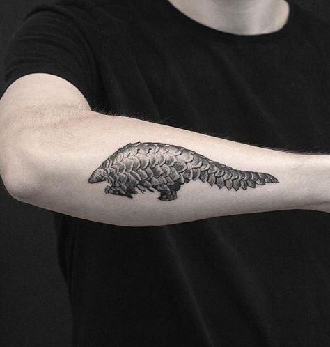 Pangolin Tattoo, Giant Pangolin, Africa Tattoos, African Tattoo, Ancient Tattoo, Skin Paint, Graffiti Tattoo, Forearm Sleeve Tattoos, Red Ink Tattoos