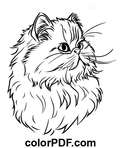 Persian Cat Head – Coloring Pages and Books in PDF Persian Cat Tattoo, Persian Cat, Cat Tattoo, Printables Kids, Simple Lines, Pencil Sketch, Coloring Sheets, Coloring Pages For Kids, Beautiful Artwork