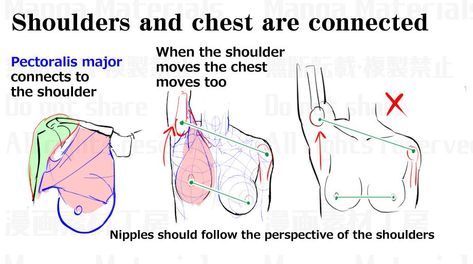 Chest Tutorial Drawing Female, Woman Chest Anatomy Drawing, How To Draw Female Shoulders, Chest Tutorial Drawing, Female Chest Drawing Tutorial, Female Chest Anatomy Drawing, Female Breast Anatomy Drawing, Breast Reference Drawing, Manga Materials Anatomy