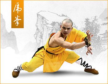 tiger Kung Fu Tiger Style Pose, Monkey Style Kung Fu, Kung Fu Tiger Style, Tiger Style Kung Fu, Tiger Style, Monkey Style, Arte Yoga, Shaolin Monks, Kung Fu Martial Arts