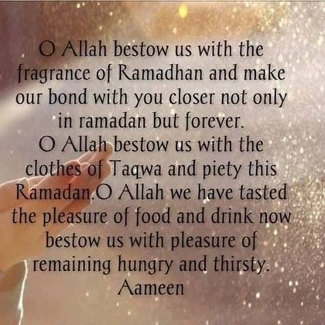 Ameen Ramadan Mubarak Quotes, Ramadan Wallpapers, Calendar Ramadan, Ramadhan Quotes, Ramadan Dua, 2023 Quotes, Ramadan Wishes, Love My Parents Quotes, Learning To Pray