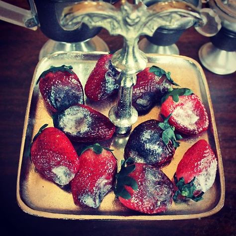 Angel Grant (@lightheartedhalloween) • Instagram photos and videos Moldy Food Photography, Moldy Strawberries, Mold Photography, App Decoration, Decaying Fruit, Moldy Fruit, Jane Prentiss, Moldy Food, Ted Halloween