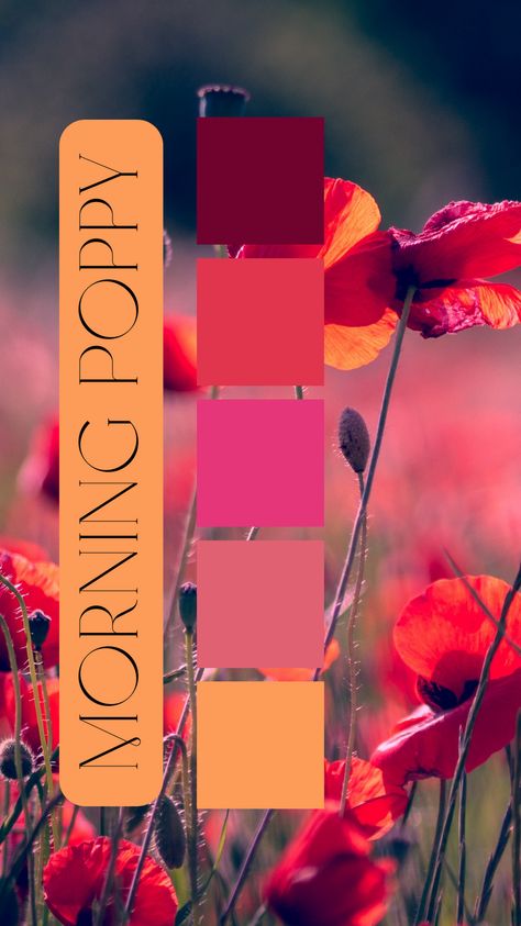 Morning Poppy Color Palette by Felicity & Lilac Events Tomato Red Color Combination, Cranberry Colour Palette, Ruby Color Palette, Viva Magenta Color Palette, Cranberry Color Palette, Orange And Pink Color Palette, Poppy Color Palette, Color Palette Magenta, Lilac Color Palette