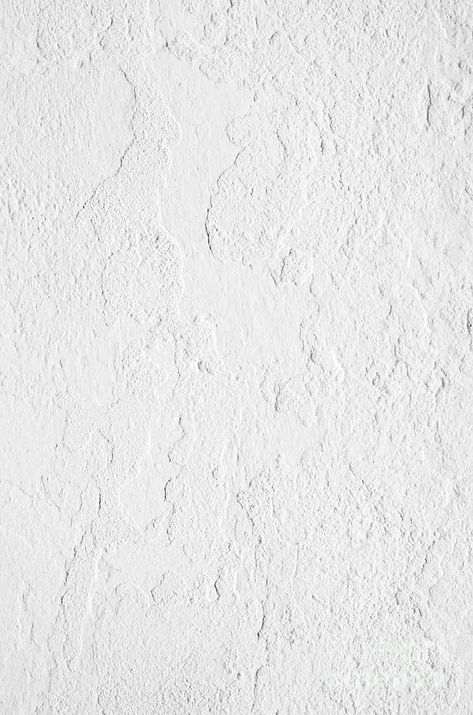 Stucco Texture, Stucco Walls, White Photo, Graphic Design Portfolio, Birds In Flight, Photo Stock, Photo Magazine, White Walls, Textured Walls