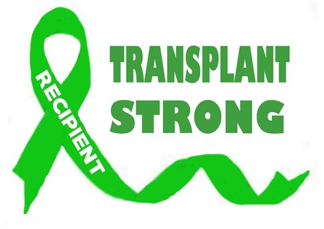 Organ Donation,transplant Strong Decal, Donate Life Decal, Donate Kidney, Living Donor Decal, Recycle Yourself,organ Donor, Usavinyls - Etsy Organ Donor Quotes, Organ Donation Quotes, Donation Quotes, Kidney Donation, Donate Life, Organ Donor, Organ Transplant, Organ Donation, Baby Learning Activities