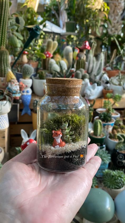 I found a little fox for my mini terrarium 🦊 Diorama In A Jar, Small Jar Terrariums, Terrarium Gift Ideas, Mini Terrarium Ideas, Small Terrarium Ideas, Clay Terrarium, Journey Theme, Mini Ecosystem, Tiny Crafts