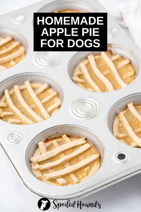 Pizza Dog Treats, Dog Poptart Recipe, Dog Apple Pie, Apple Pie For Dogs, Apple Pie Dog Treats, Dog Treats That Look Like Human Food, Thanksgiving Dog Food, Pet Treat Recipes, Dog Pie Recipe