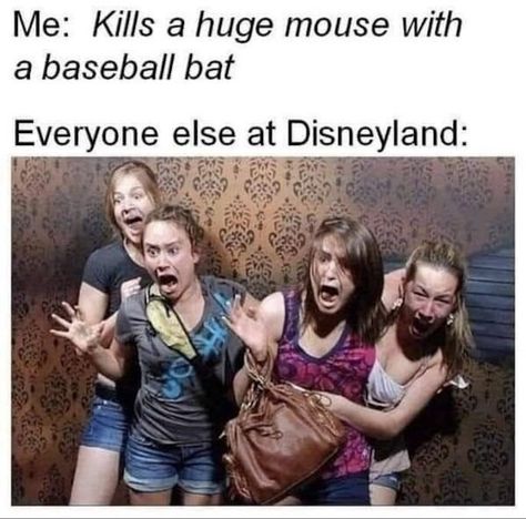 32 Random Funny Pics to Spend Some Time With - Funny Gallery Morning Humor, Disney Memes, Disney Funny, Really Funny Memes, Satire, Funny Laugh, New Memes, Funny Photos, Funny Images