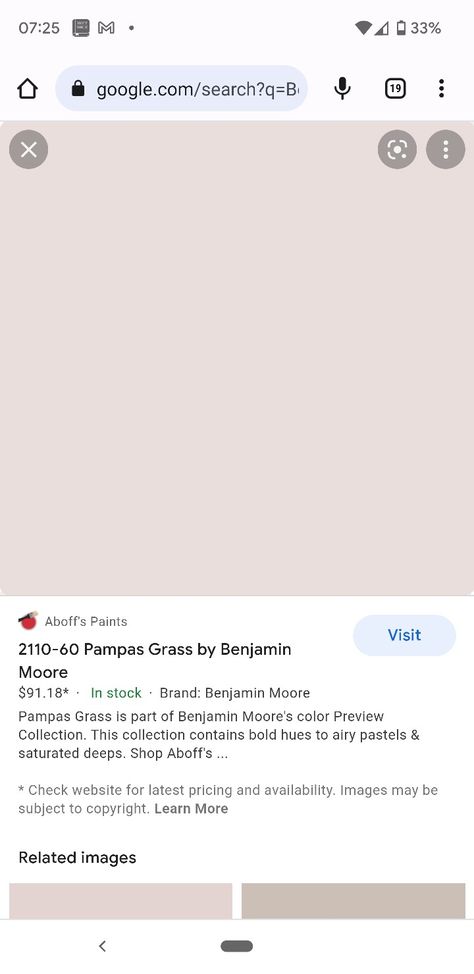 Benjamin Moore Pampas Grass Paint, Grass Painting, New Paint Colors, Office Nook, Benjamin Moore Colors, Benjamin Moore, Pampas Grass, Paint Colors, New Homes