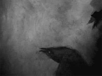 #crow #gif Crow Gif, Victorian Gothic Aesthetic, Fly Gif, Robert Newton, Crow Feather, Creepy Gif, Gif Background, Crows Ravens, Cartoon Wallpaper Hd