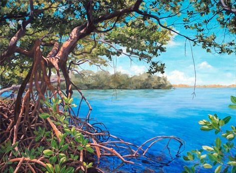 Carol_McArdle_sold_paintings Grape Painting, Beach Paintings, Florida Artist, Mangrove Forest, Florida Art, Woodland Art, Beautiful Art Paintings, Selling Paintings, Forest Illustration