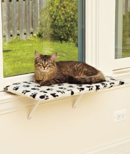 Cat Windowsill, Windowsill Shelf, Katt Diy, Katt Grejer, Chat Diy, Cat Window Perch, Window Perch, Cat Houses, Cat Seat