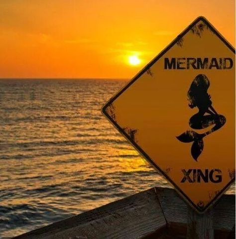 MERMAID XING 1366x768 Wallpaper Hd, Mermaid Kisses, Real Mermaids, Mermaid Dreams, Mermaids And Mermen, Mermaid Life, Ocean Sunset, Mermaid Art, Mellow Yellow