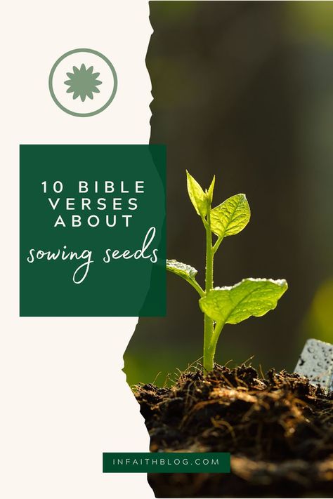 Scripture About Planting Seeds, Sowing Seeds Of Faith, Planting Seeds Of Faith, Planting Seeds Quotes, Sowing And Reaping, Eclectic Homeschooling, Seed Quotes, Planting Seed, Plant Swap