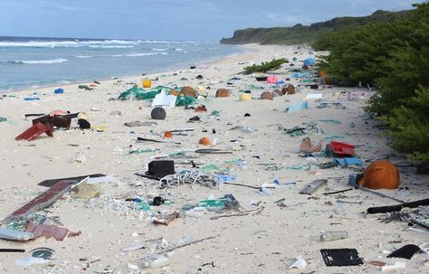 Scientists find 38 million pieces of trash washed up on Pacific island | Fox News Uninhabited Island, South Pacific Islands, Ocean Pollution, Save Our Oceans, Save Our Planet, Save The Earth, Remote Island, Plastic Pollution, Paradise Island