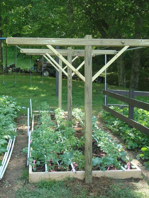 Tomato Supports, Tomato Support, Tomato Trellis, نباتات منزلية, Garden Frame, Backyard Vegetable Gardens, Garden Veggies, Veg Garden, Home Vegetable Garden