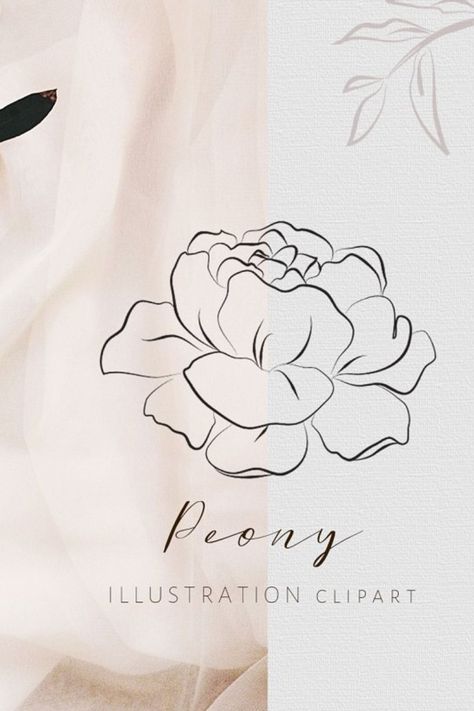 Peonies symbolize romance and prosperity. Their feminine blooms are perfect to use as elegant illustration design clipart. Digital peonies are also the best way to keep them last throughout the year. You may use them for your own wedding, decoration, website, icons, logo, packaging etc. Peony Drawing Tattoo, Peony Drawing Tutorial, Peonies Wallpaper Iphone, Peonies Symbolize, Tattoo Peonies, Peonies Background, Peonies Wallpaper, Peony Flower Tattoos, Peony Drawing