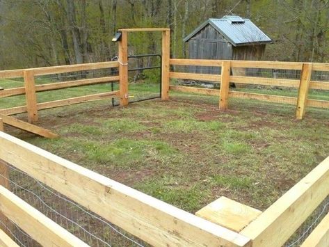 Small Pig Pen Ideas, Pig Pasture Ideas, Pig Pen Fencing, Cute Pig Pen Ideas, Pig Area Outside, Pig Wallow Ideas, Hog Pins Ideas, Farm Sanctuary Ideas, Kune Kune Pig Pen