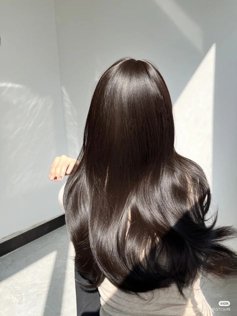 Glossy Hair Aesthetic, Wonyoungism Hair, Silky Hair Aesthetic, Dark Wonyoungism, Long Hair Korean, Straight Silky Hair, Silky Straight Hair, Glass Hair, Long Shiny Hair