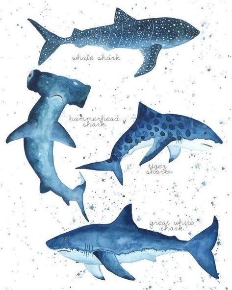 Shark Illustration, Shark Drawing, Shark Art, Tiger Shark, Hammerhead Shark, Shark Week, Sea Art, Great White Shark, Whale Shark