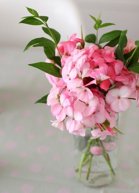 Pink Geranium Geranium Bouquet, Vase Candle Centerpiece, Hanging Glass Vase, Pink Glass Vase, Pink Geranium, Abstract Ideas, Vase Display, Clear Vases, Geometric Vases