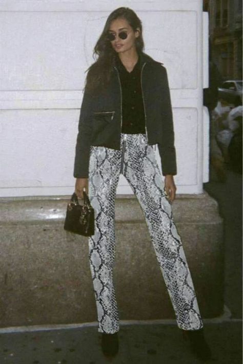 Snake Pants Outfit, Snake Print Outfit, Printed Pants Outfits, Punk Street Style, Snake Print Pants, College Outfits Winter, Recruitment Outfits, Pencil Skirt Outfits, Animal Print Outfits