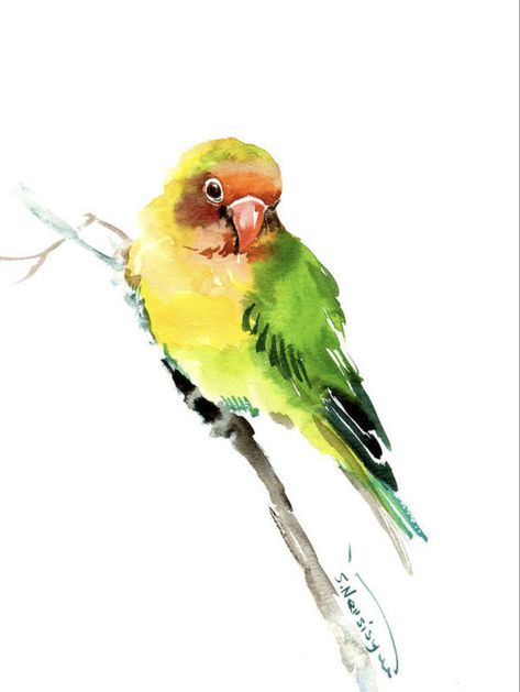 Lovebird Painting, Lovebirds Art, Parrot Art, Parrots Art, Bird Watercolor Paintings, Painting Yellow, Animal Illustration Art, Painting Pictures, Diy Watercolor Painting