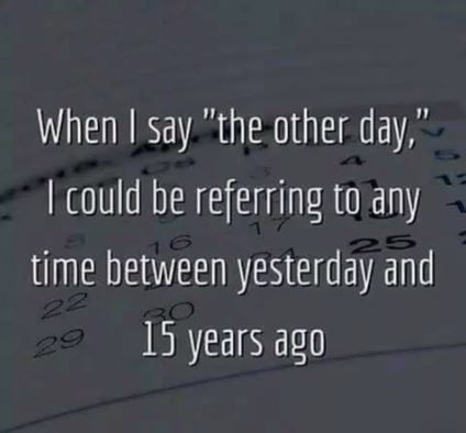 When I say the other day... Humor Grafico, Twisted Humor, Love Is In The Air, Sarcastic Quotes, Funny Signs, Bones Funny, The Words, Favorite Quotes, Me Quotes