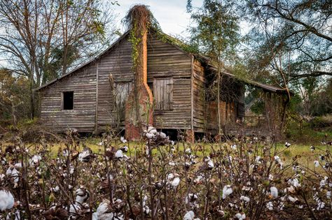 https://flic.kr/p/BMCamz | Calhoun County, Georgia Calhoun Georgia, Georgia History, Old Abandoned Buildings, Farm Pictures, Old Abandoned Houses, Barn Art, Altered Photo, Old Home, Old Farm Houses