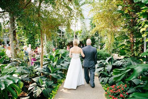 Think you have to hop on a plane to find a tropical paradise for your wedding day? Check out Cambridge Butterfly Conservatory before you book your ticket. Butterfly Conservatory, Wedding Venues Ontario, Wedding Reception Chairs, Black Tie Wedding Invitations, Mexico Wedding Venue, Wedding Dresses Vintage Bohemian, Conservatory Wedding, Summer Wedding Reception, Wedding Guest Outfit Fall