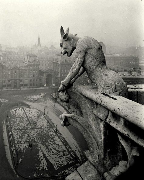 A Gargoyle of Notre Dame, Paris, France 1920 Notre Dame Gargoyles, Gothic Gargoyles, Notre Dame Paris, A4 Poster, Gothic Architecture, Architectural Elements, Banksy, Fantasy Creatures, Archaeology