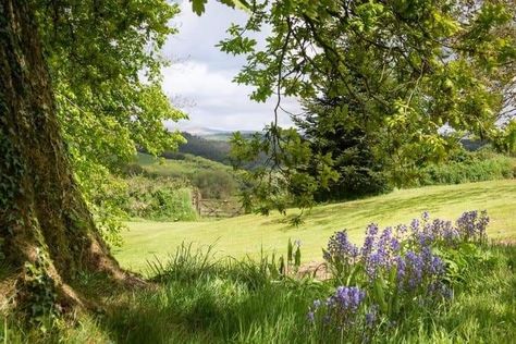 British Countryside, English Countryside, Nature Aesthetic, Pretty Places, Green Grass, Green Aesthetic, Narnia, Country Life, Beautiful World