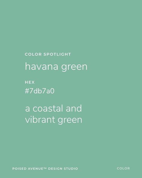 Some ☁️ dreeeamy ☁️ colors from a recent project. Which one is your favorite? My favs are Havana Green & White Sand 😍😍 #color… | Instagram Avenue Design, White Sand, Which One Are You, Color Inspo, Female Entrepreneur, Color Of Life, Branding Inspiration, Logo Inspiration, Color Inspiration