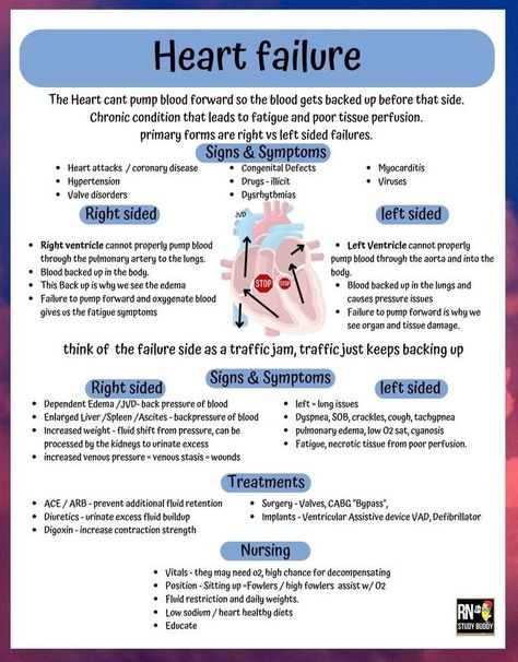 🧠ᗪᗩᖇEEᑎ ᗩᒪ-ᔕᑌᗷEIᗩI🧠 on Twitter: "Heart failure 💔 https://t.co/JruKMdNMjy" / Twitter Human Body Vocabulary, Pathophysiology Nursing, Nursing School Studying Cheat Sheets, King Abdulaziz, Cardiology Nursing, Medical Assistant Student, خريطة ذهنية, Nursing School Essential, Nursing School Motivation