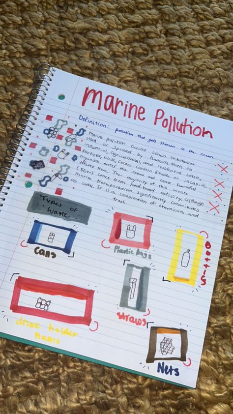 Marine Science Notes, Marine Biology Journal Pages, Marie Biology, Marine Biology Notebook, Marine Biology Journal, Marine Biologist Notes, Marine Biology Aesthetic Notes, Marine Biology Notes, Marine Biology Degree