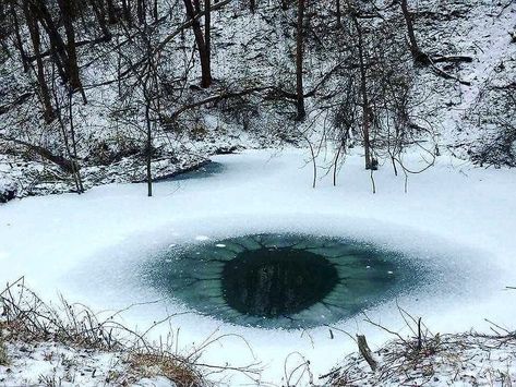 Magic of Pagan on Instagram: “The Eye of the Forest  Picture from Pinterest #pagan #vikings #norse #forest #druids #spell #magic #natural #fantasy #magicofpagan #woods…” Matka Natura, Bg Design, Frozen Lake, Human Eye, Twin Towers, Winter Aesthetic, Elder Scrolls, Pics Art, Wisteria