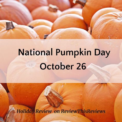 Review This Reviews!: National Pumpkin Day Review Pumpkin Facts, National Pumpkin Day, Pumpkin Chiffon Pie, Pumpkin Centers, Pumpkin Day, Traditional Thanksgiving Dinner, Fun Holidays, Squash Vegetable, Pumpkin Dishes