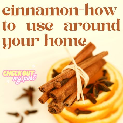 Cinnamon is a versatile spice that brings warmth and coziness to any home. Known for its distinctive sweet and aromatic flavor, cinnamon is derived from the inner bark of trees belonging to the Cinnamomum genus. It has been used in culinary preparations and therapeutic remedies for centuries. Burning Cinnamon Sticks Benefits, Ways To Use Cinnamon Sticks, Uses For Cinnamon Sticks, How To Use Cinnamon Sticks, Cinnamon Sticks Uses House Smells, Cinnamon Sticks Uses, Cinnamon Uses, Cinnamon Ornaments, Cinnamon Oil