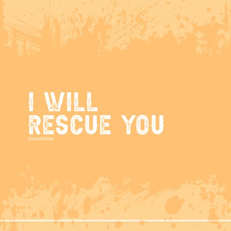 Thank you for your voice, Lauren Daigle! 🎶🎶  "I will send out an army to find you, In the middle of the darkest night, It's true, I will rescue you." Darkest Night, Lauren Daigle, No Game No Life, Find You, Dark Night, Your Voice, In The Middle, The Middle, The Darkest