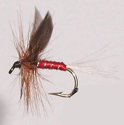 Fishing Hacks, Tying Flies, Drop Shot Rig, Crappie Jigs, Fishing Basics, Fly Fishing Flies Pattern, Trout Flies, Fly Fishing Tips, Pike Fishing