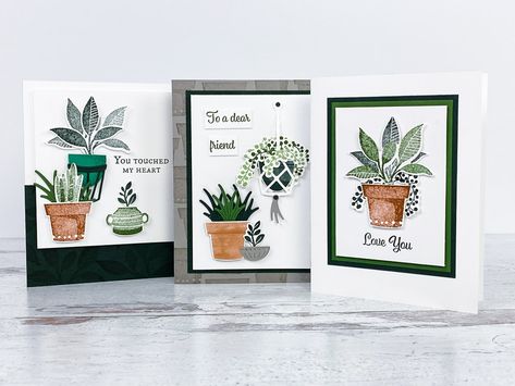 Stampin Up Plentiful Plants Cards, Stampin Up Plentiful Plants, Cactus Cards, Plant Cards, Card Design Ideas, Bloom Where Youre Planted, Leaf Cards, Pot Plants, Bloom Where You Are Planted