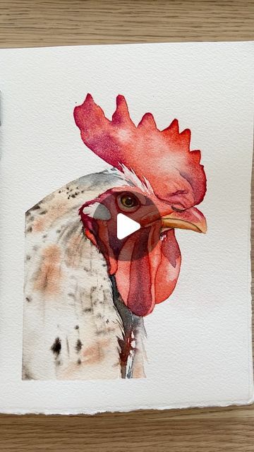 Fun Watercolor, My Journal, July 3, Painting Process, Animal Drawings, This Morning, Watercolor Art, Animals, On Instagram