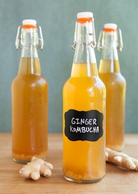 Fermenting Veggies, Wellness Drinks, Ginger Kombucha, Kombucha Drink, Fermented Drinks, Homemade Kombucha, Kombucha Recipe, Soda Drink, Kombucha Tea