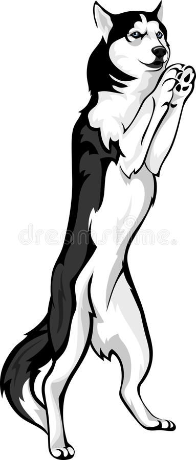 Dog standing on his hind legs stock illustration Legs Illustration, July Journal, Drawing Stand, Dog Standing, 100 Things To Do, Dog Illustration, Dog Images, Vector Drawing, Dog Drawing