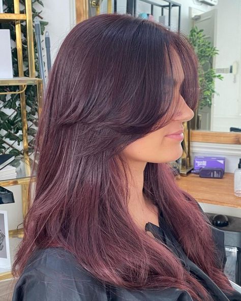 14 Stunning Plum Coloured Hair Ideas in 2024 Ion Plum Hair Color 4vv, Truffle Raspberry Hair, Plum And Red Hair, Prune Hair Color, Subtle Plum Hair, Berry Plum Hair Color, Plum Hair On Brown Skin, Brown Plum Hair Color, Plum Hair Aesthetic